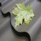 Металлочерепица Ruukki Monterrey